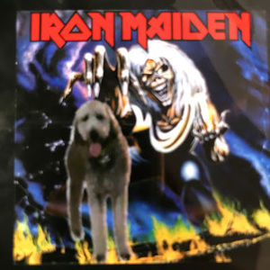 Meet your Posher, Logan